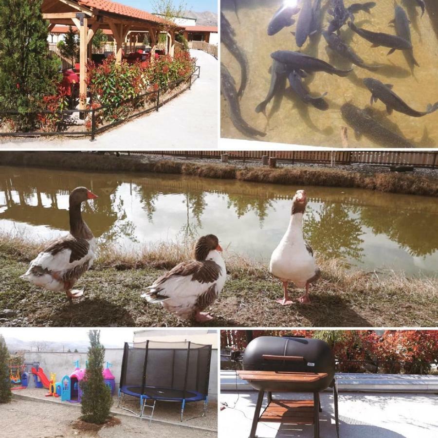 Hotel&Spamontenegro Rivijera ヴェレス エクステリア 写真